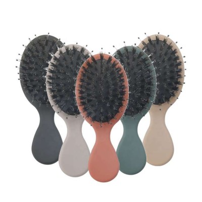 Hot Selling Custom Private Label Portable Massage Cushion Pocket Hairbrush Travel Small Hair Brush/ Hair Brush Detangling